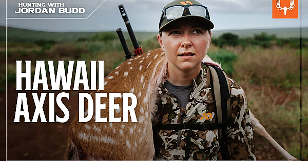 Hawaiian Axis Deer Hunting With Jordan Budd