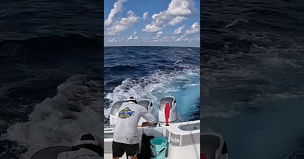 Janis Putelis Is Getting A Lesson In How To Target Yellowfin Tuna. #meateater