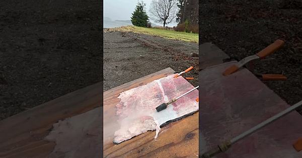 A Little Hide-fleshing Asmr, Courtesy Of Heather Douville. #fueledbynature