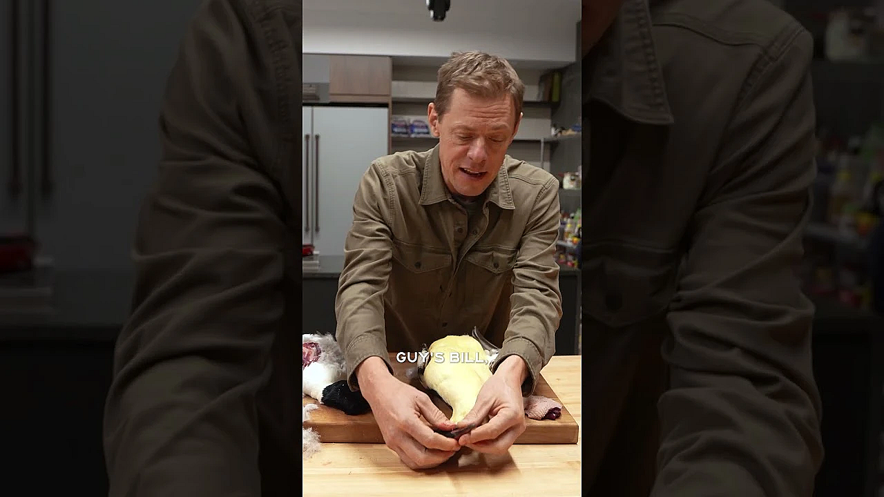 Steve Explains What Makes A Diver Duck Different From A Mallard. Learn More In His Latest Video.