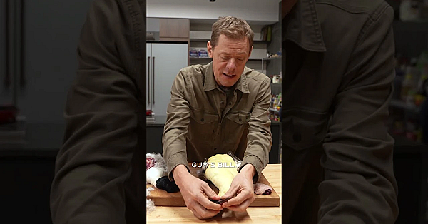 Steve Explains What Makes A Diver Duck Different From A Mallard. Learn More In His Latest Video.