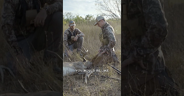 Have You Ever Rattled In A Buck? If You've Tried And Never Been Successful, Consider Your Timing.