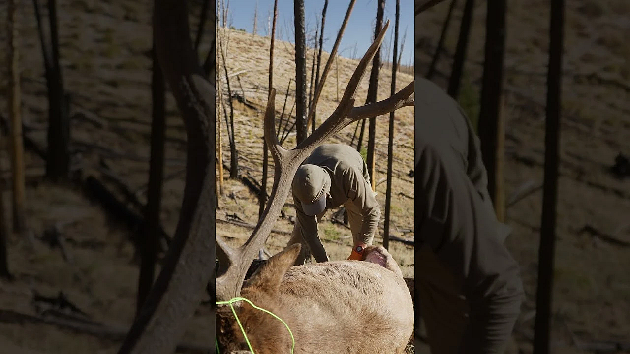 No Fences, Just Free Public Land For The People. Full Hunt Is Live Now!