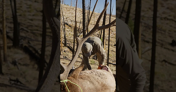 No Fences, Just Free Public Land For The People. Full Hunt Is Live Now!