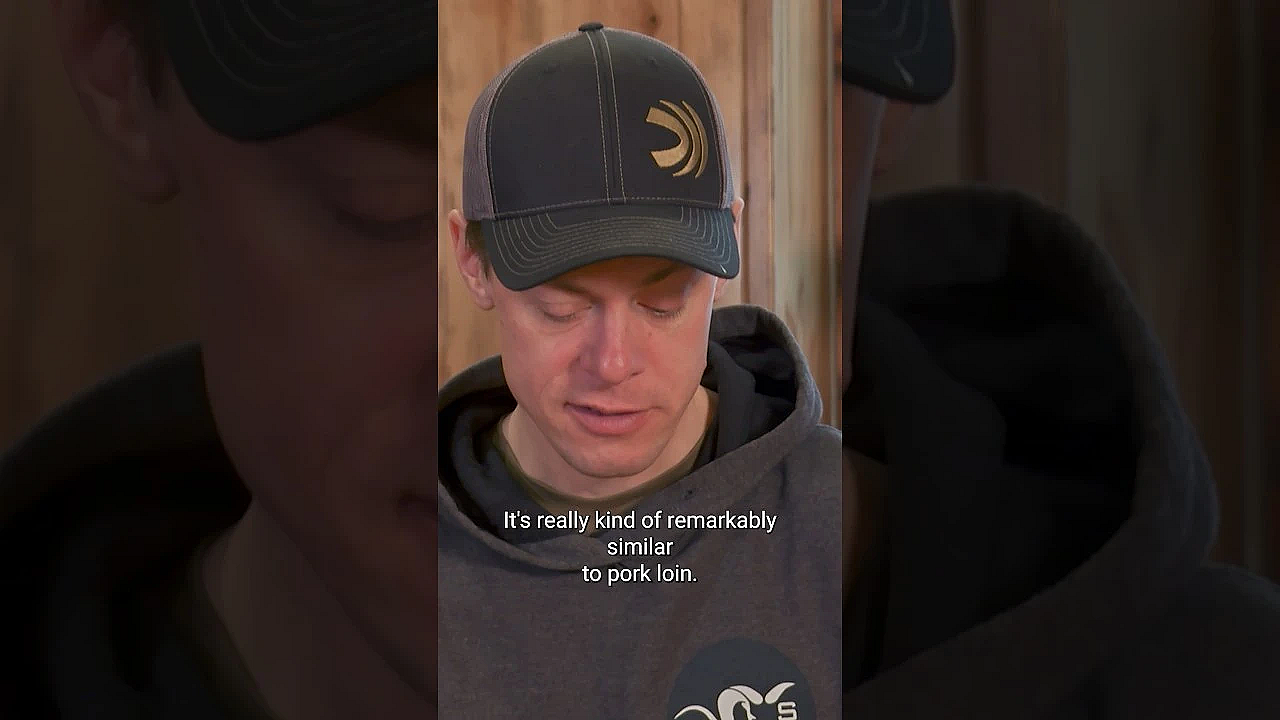 Have You Ever Tried Mountain Lion? Final Episode From Season 7 Is Live On Our Channel. #hunting