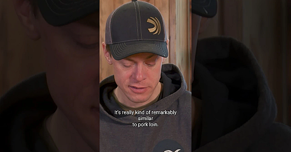 Have You Ever Tried Mountain Lion? Final Episode From Season 7 Is Live On Our Channel. #hunting