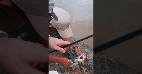 The First Episode From Steve's Legendary Trip To Guyana Is Live!  #meateater