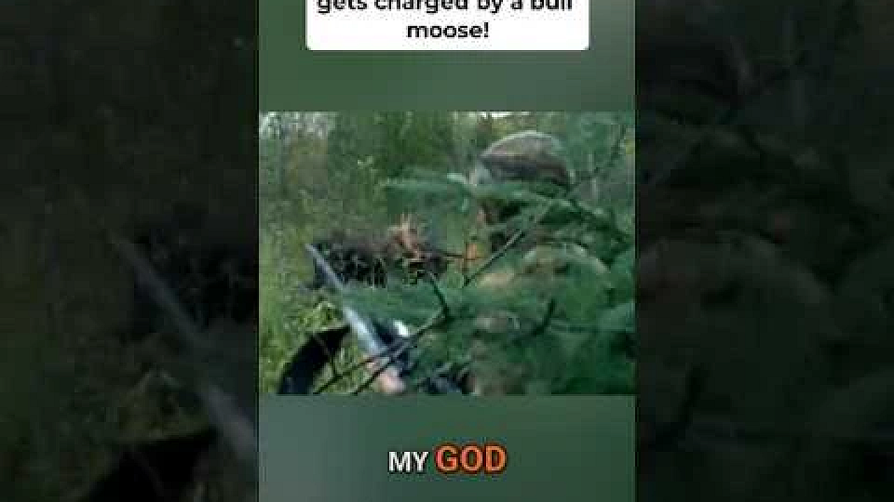 Steve gets charged by a bull moose after rifle misfire!