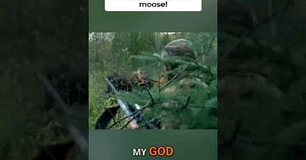 Steve gets charged by a bull moose after rifle misfire!