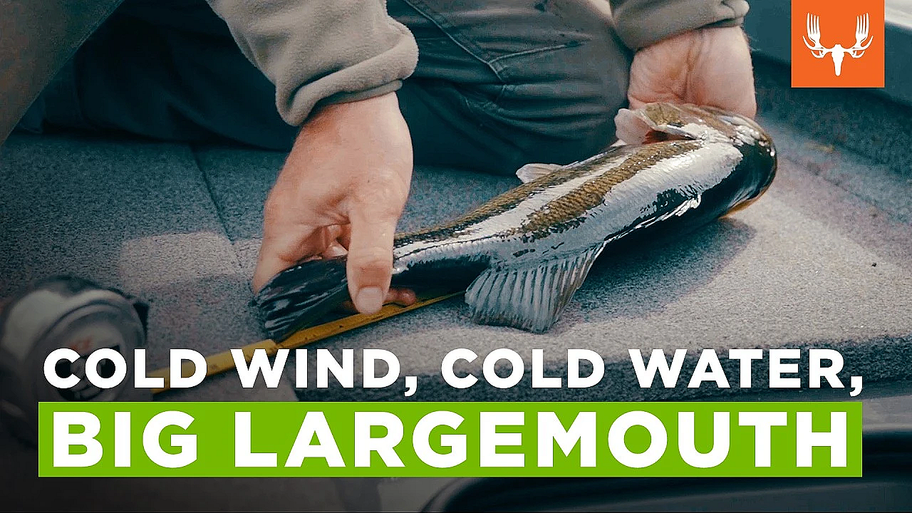 Big Bites in Tough Bass Conditions | Side Quests