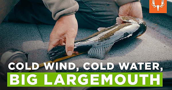 Big Bites in Tough Bass Conditions | Side Quests