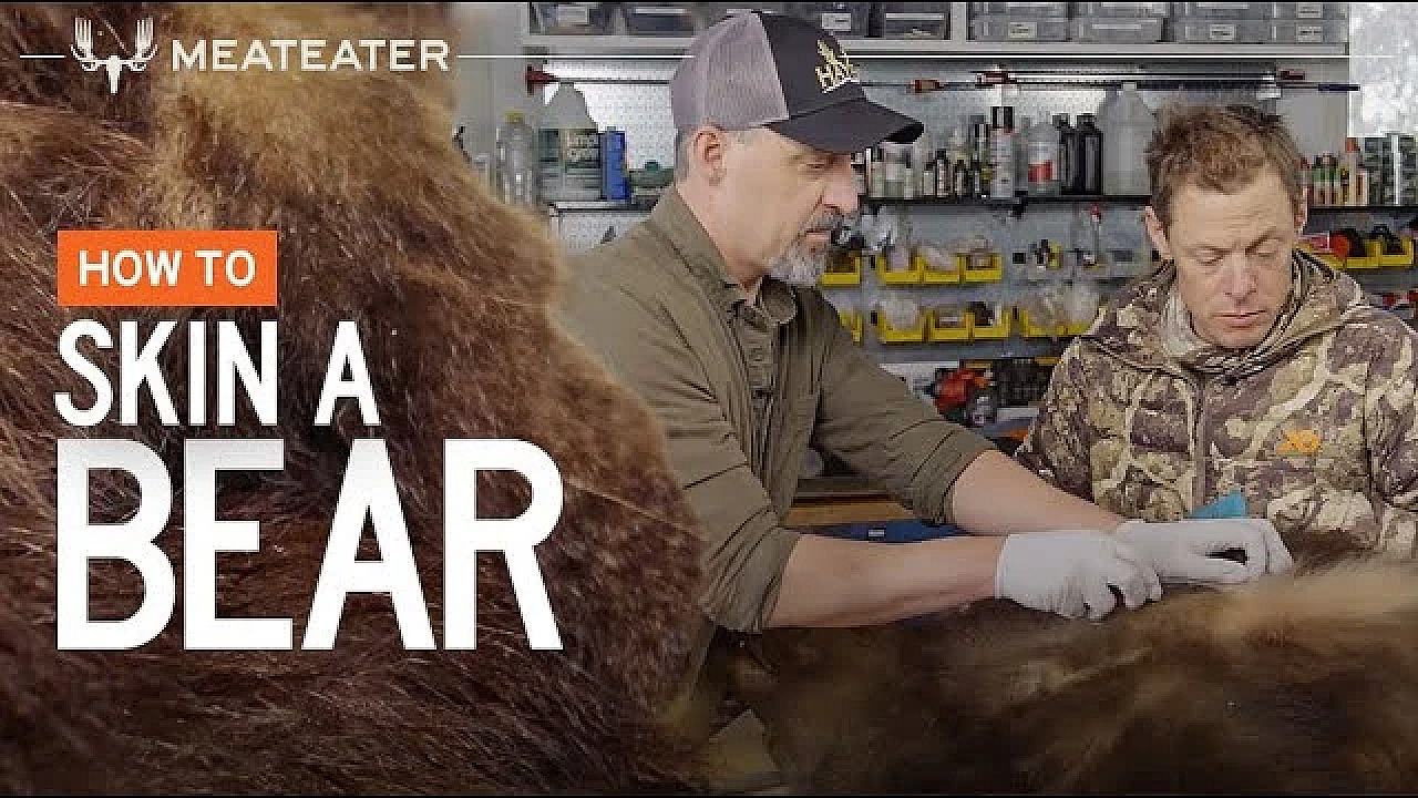 How To Skin A Bear With Steven Rinella