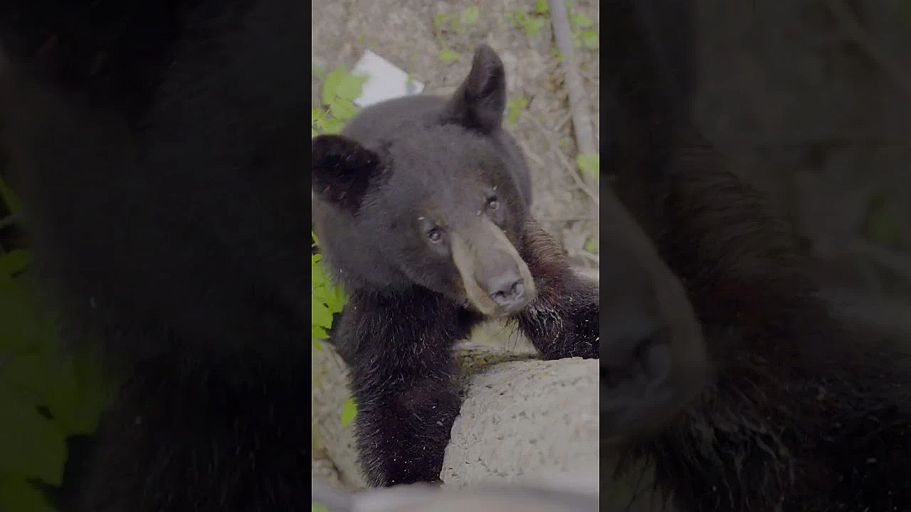 You Don’t Learn A Subject By Reading About It. You Learn By Standing In It. The First Film Is Live.