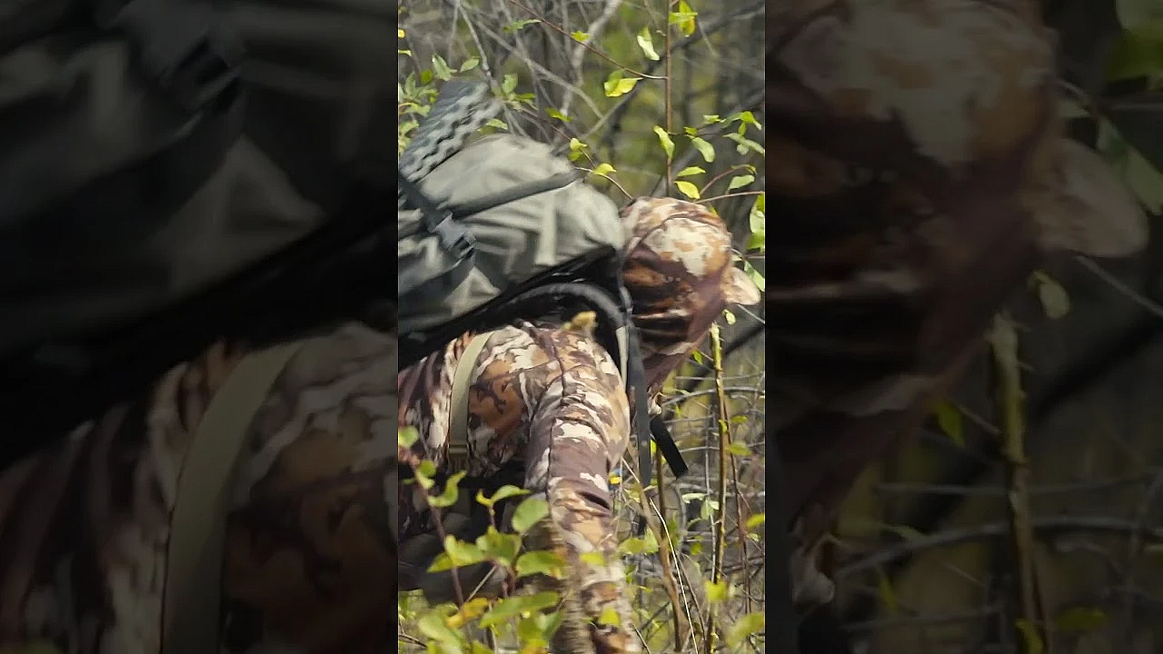 Steve’s Blue Mountain Elk Hunt Went Live Last Week, And It’s Guaranteed To Get You Fired Up For Fall