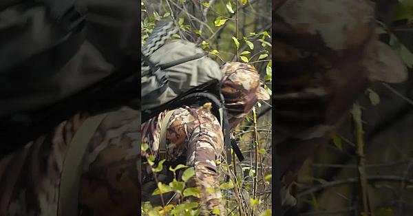 Steve’s Blue Mountain Elk Hunt Went Live Last Week, And It’s Guaranteed To Get You Fired Up For Fall