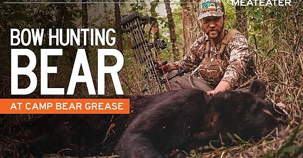 Bow Hunting For Bear At Camp Bear Grease