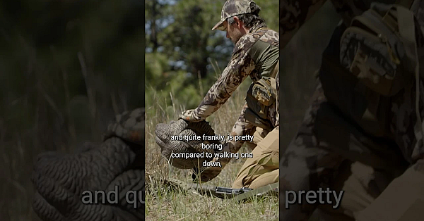 If You Find Yourself Wondering How Best To Approach Public Land Gobblers, Watch Our Latest Episode.