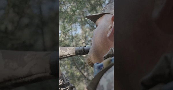 Steve Rehashes Some Of His Most Memorable Elk Hunts In The Latest Episode Of Field Notes.