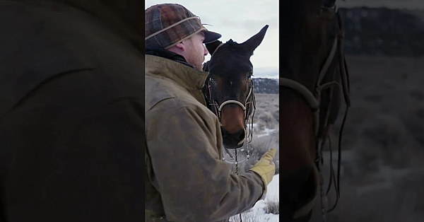 Everything's Real Life To Mules!