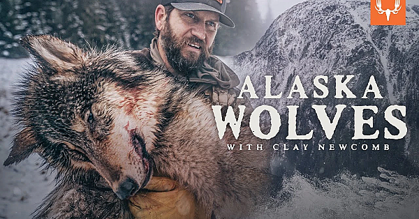 Alaska Wolf Management With Clay Newcomb