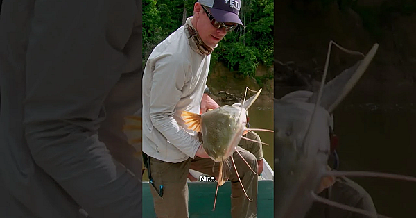 Part 2 Of Steve's Legendary Trip To Guyana Is Live. Kick Back And Enjoy On Of Our Favorite Episodes.