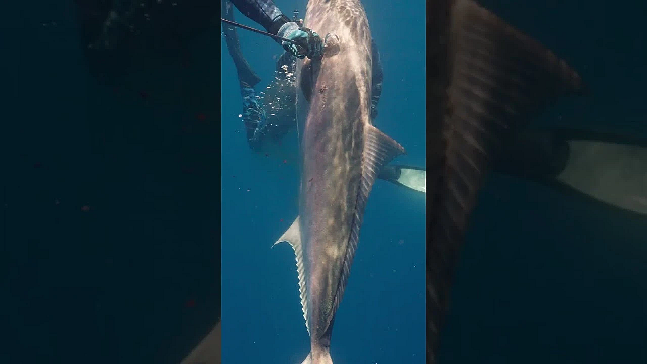 Meateater Season 13 Starts Tonight At 6pm Mt. Don't Miss It!