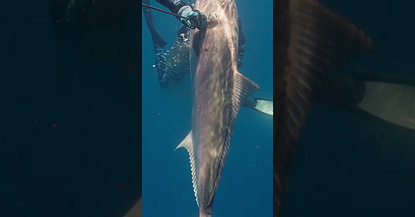 Meateater Season 13 Starts Tonight At 6pm Mt. Don't Miss It!