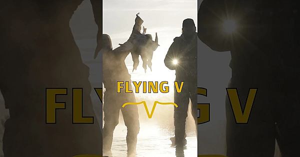 Check Out Our New Waterfowl Series With The Guys From Flying V!  #hunting  #waterfowl