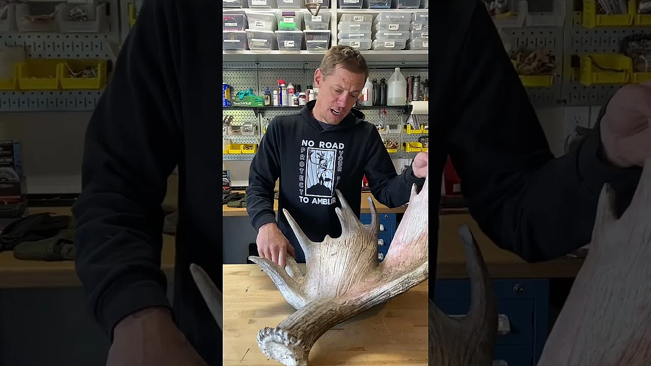 Season 11 Is Here And Ready For You. Get Titillated (for Free, Mind You) At Themeateater.com.