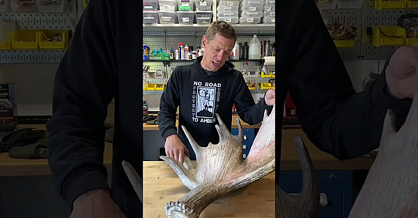 Season 11 Is Here And Ready For You. Get Titillated (for Free, Mind You) At Themeateater.com.