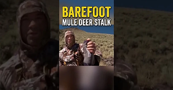 Throwback to Joe Rogan's barefoot mule deer stalk