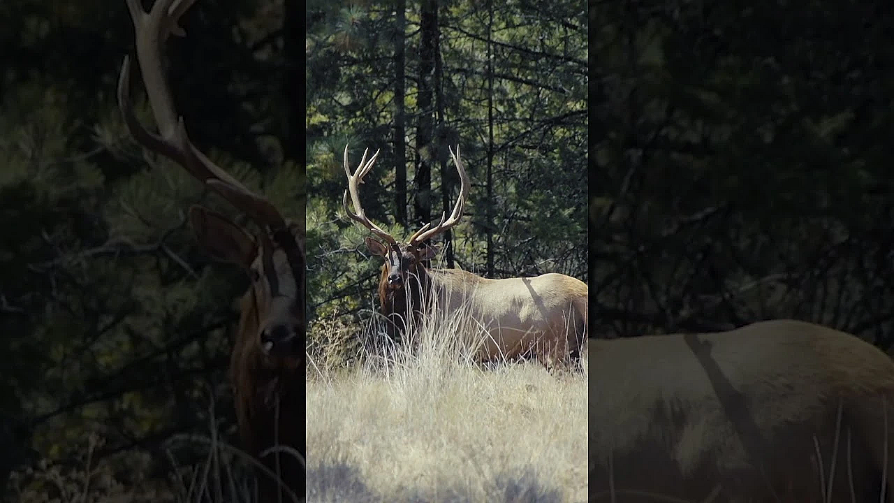 Our Latest Episode From Season 8 Has Some Tough But Important Lessons. New Episodes Tuesdays At 11am