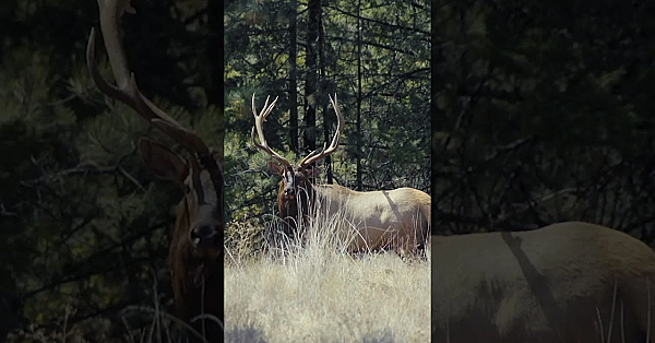 Our Latest Episode From Season 8 Has Some Tough But Important Lessons. New Episodes Tuesdays At 11am