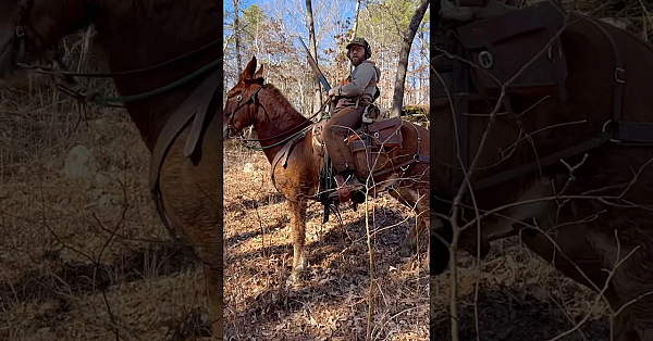 Chasing Down Bushytails With Bear And Clay Newcomb.