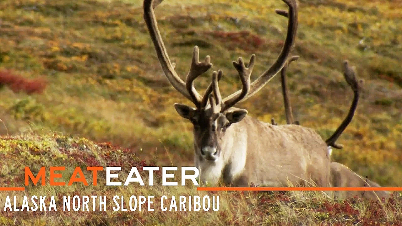 Meateater S2-e09: True North: Alaska North Slope Caribou