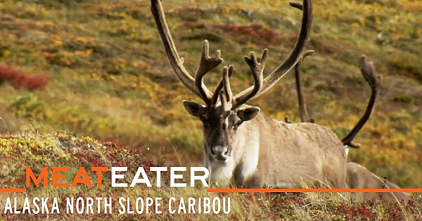 Meateater S2-e09: True North: Alaska North Slope Caribou