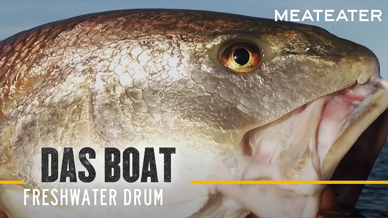 Das Boat S2: E06 Freshwater Drum With Danielle Prewett And Frank Smethurst