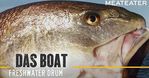 Das Boat S2: E06 Freshwater Drum With Danielle Prewett And Frank Smethurst