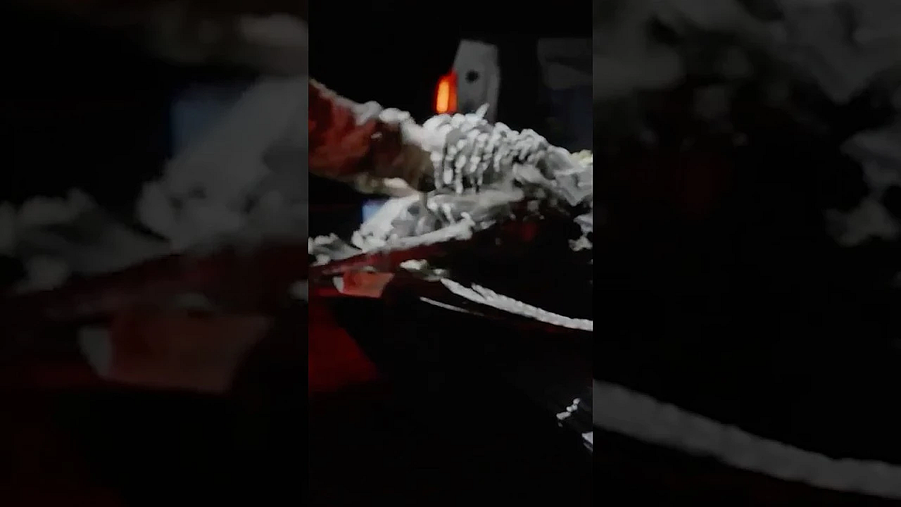 Forty Years Of Work Went Into Bringing Back The Gould’s Turkey. Have You Ever Seen One?