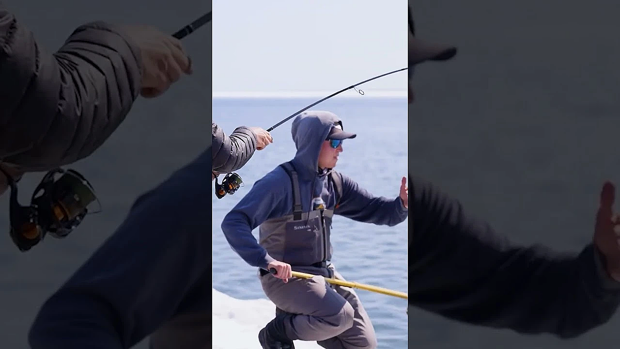 Jay Finds A Big Pod Of Char