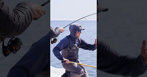 Jay Finds A Big Pod Of Char