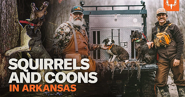 Treeing Squirrels And Coons With Brent And Clay