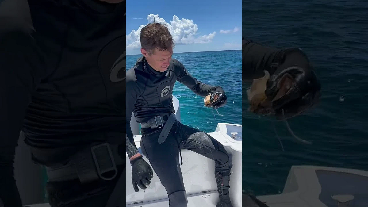 Fresh Conch With Steve. Check Out Spearchef Next Tuesday For More From This Trip. #fueledbynature