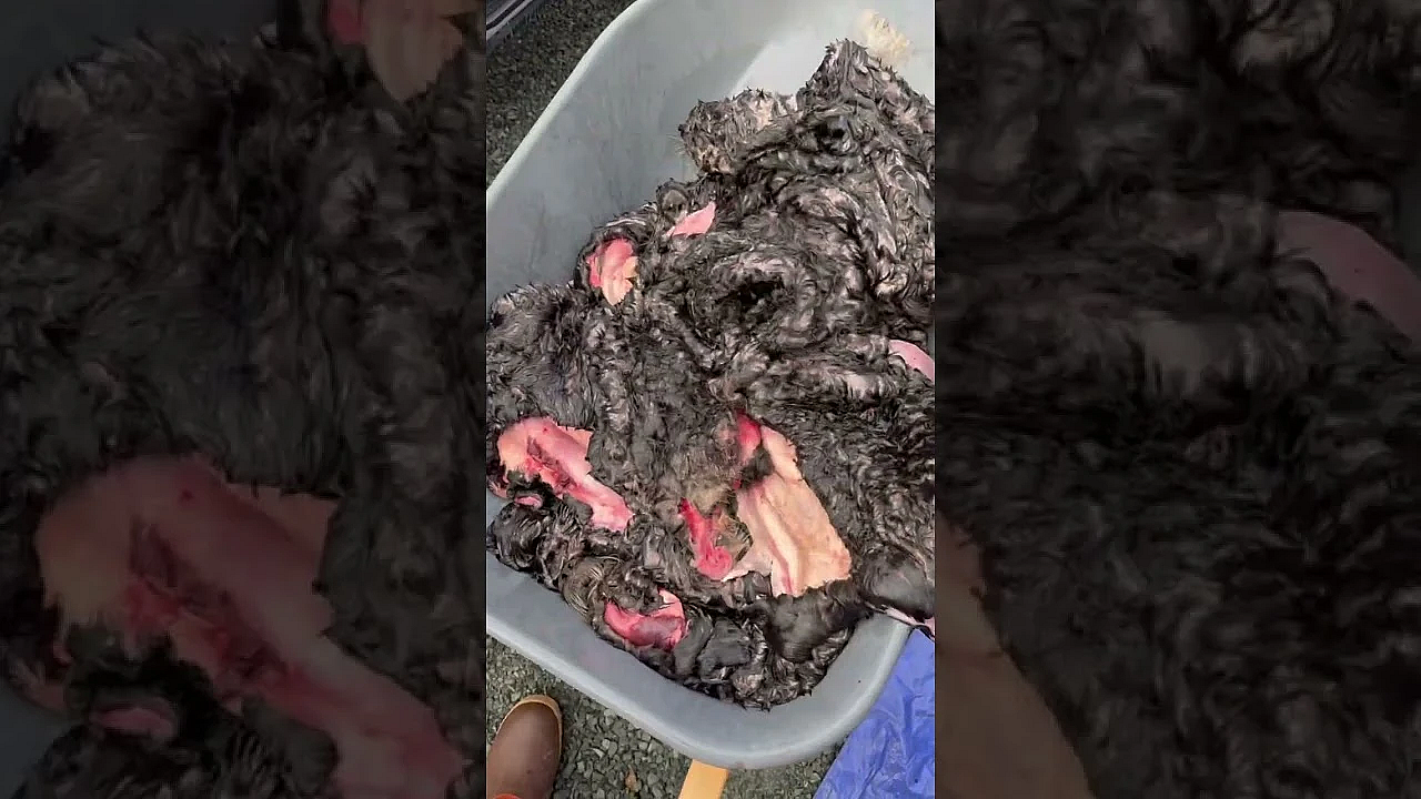 From Hunting To Salting Hides, Heather Does Everything With Incredible Attention To Detail.