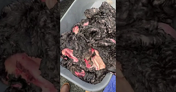 From Hunting To Salting Hides, Heather Does Everything With Incredible Attention To Detail.