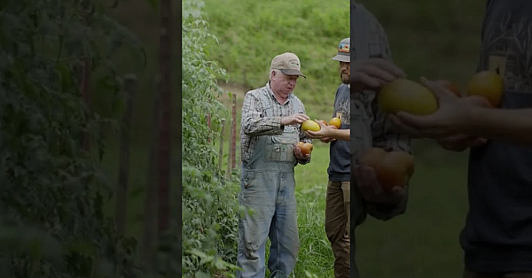 Tomorrow On The Bear Grease Roadshow. Episode 3 Airs At 11am Mt. #fueledbynature #meateater