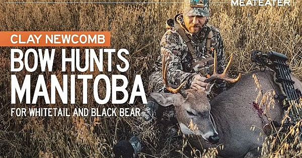 Clay Bow Hunts For Whitetail And Black Bear In Manitoba