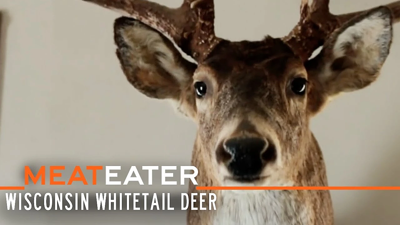 Meateater S1-e10: Big Bucks And Small Game: Wisconsin Whitetail Deer