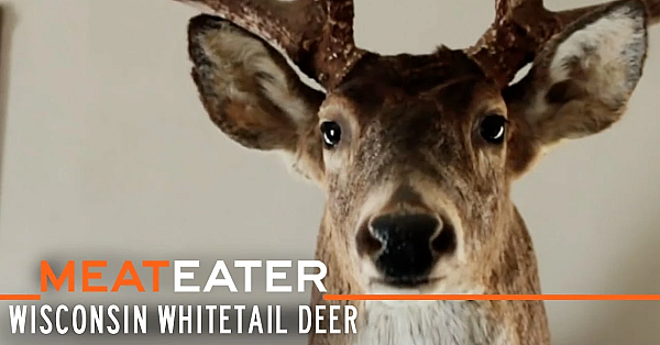 Meateater S1-e10: Big Bucks And Small Game: Wisconsin Whitetail Deer