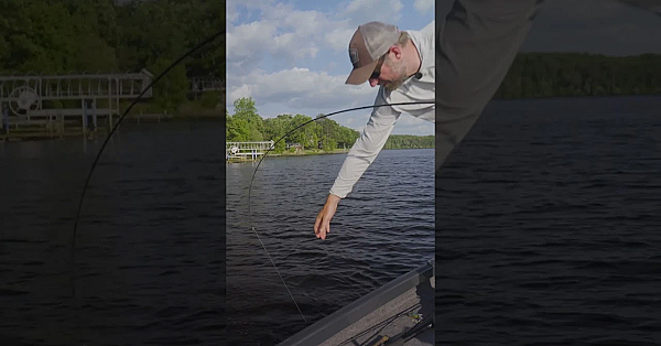 Is The Fishing Always Better When You Forget Your Net At Home?  #fueledbynature #meateater
